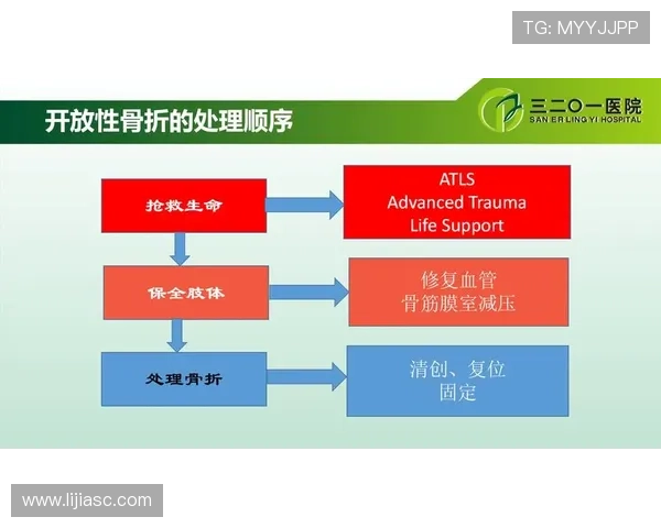 武汉排球队防守策略解析与战术创新探讨 武汉排球队防守策略解析与战术创新探讨